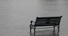 Fall rains destroy Fraser Valley crops