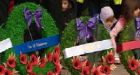Veterans to get HST refund on poppies