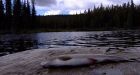 Ottawa rejects contentious B.C. mine proposal