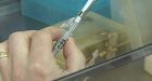 Researchers uncover new approach to fighting viruses