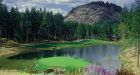 Salmon added to water hazard on southern Vancouver Island golf course