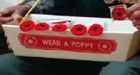 Coffee shop customers stop poppy thief