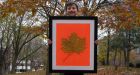 Boy's giant maple leaf makes Guinness World Record