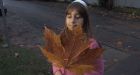 My maple leaf is bigger, B.C. girl says