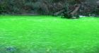 Alert: Chemical that turned Goldstream River green can cause allergic reactions