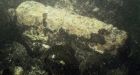 Divers claim wreck is USS Revenge