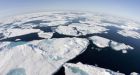 Arctic explorers' logs shed light on climate change