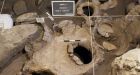 Earliest known winery found in Armenian cave