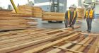 Softwood lumber dispute heats up over salvage timber