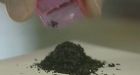 Feds unveil plan to ban hallucinogenic herb salvia