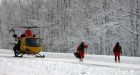 Griffons in search and rescue deemed a 'risk'
