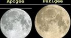 'Supermoon' to loom large on Saturday