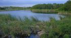 Florida Everglades built on ancient trash heap