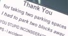 'Granny McNasty' writes own parking tickets