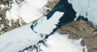 Massive Greenland iceberg drifts towards N.L.