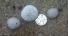 Large hail pounds western Manitoba