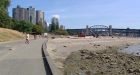 Two women attacked on Vancouver seawall