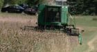 Farm prices take big jump