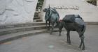 Animal war memorial in peril