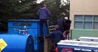 Two bear cubs rescued from Coquitlam dumpster