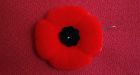 Son of veteran group president accused of poppy box thefts