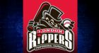 Foul ball? London Rippers team name under fire