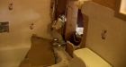 Motel owners feel 'helpless' after student rampage