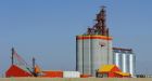 Wheat board seeks injunction against Tory legislation