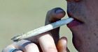 Dutch police complain it is their right to smoke cannabis while off-duty  | Mail Online