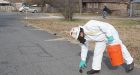 Dead blackbirds fall from sky in Beebe Arkansas, again