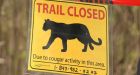Urban sprawl blamed for Squamish cougar encounters