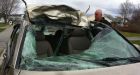 What moose? Woman can't recall dramatic collision