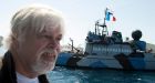 Case against Sea Shepherd founder moves ahead