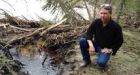 Cleanup of latest Alberta oil spill could take all summer