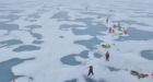 Giant algae blooms thriving under thinning Arctic sea ice