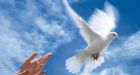 Canada rises to 4th in world peace rankings
