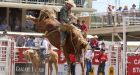 Attendance record set for Calgary Stampede