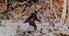 Sasquatch sighting by Nunavik berry pickers