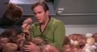 Star Trek's tribble celebrated as piece of U.S. heritage