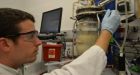 Combined bacterial/metal catalysis turns sugars to jet fuel | Ars Technica
