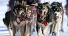 Iditarod sled dog race kicks off in Willow, Alaska