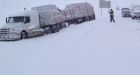 300 injuries reported in a pile-up near Leduc