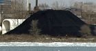 U.S. governors urged to tackle pet coke piles