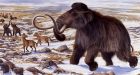 'De-extinction' of woolly mammoth possible in 30 to 50 years