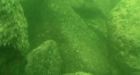 Mysterious 'monument' found on bottom of Sea of Galilee , but what is it? 