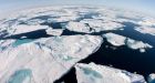 Tourists stranded on Arctic ice floe make it to shore, airlifted to safety