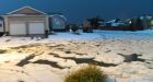 The Pincher Creek Voice: Freak hail storm strikes Taber