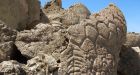 Petroglyphs in Nevada at least 10,000 years old, scientists confirm; oldest in North America