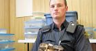 Pythons seized in Brantford belonged to family, witnesses say