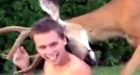 Deer that starred in viral YouTube video destroyed in Okanagan